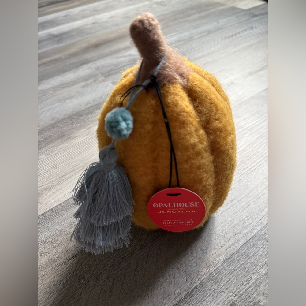 Opalhouse Felted Pumpkin Tassel Home Decor Fall NEW
